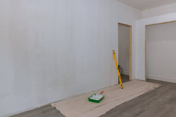 Best Water-Damaged Drywall Repair  in Rochester, MN